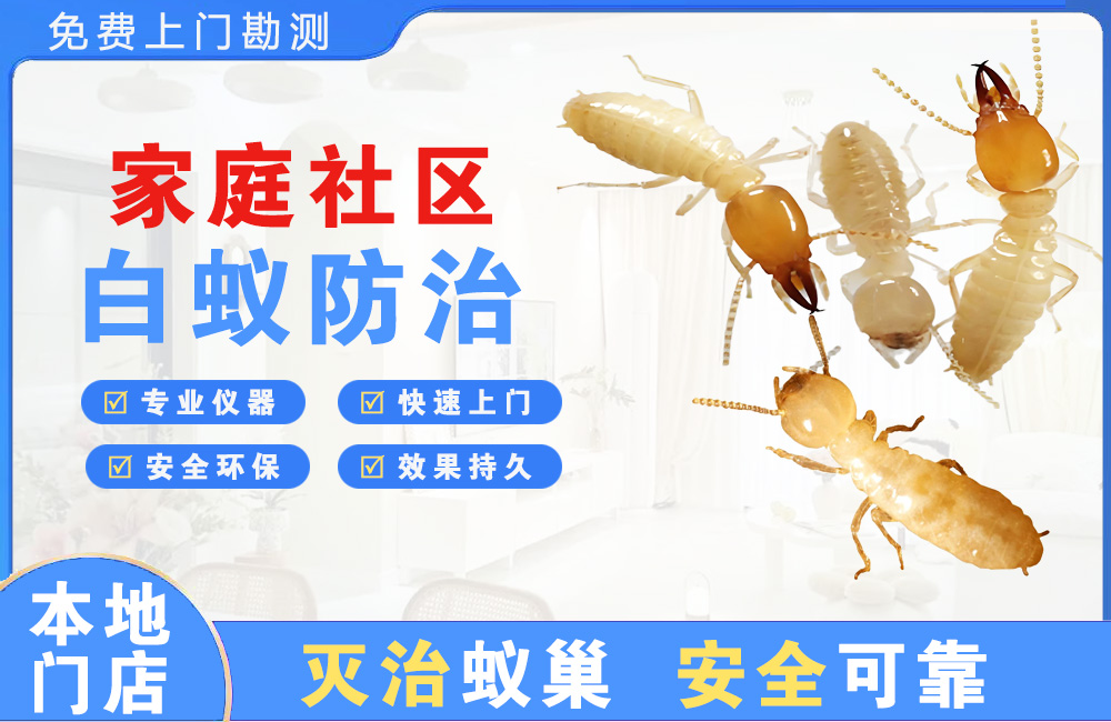 泗洪家庭社区白蚁防治