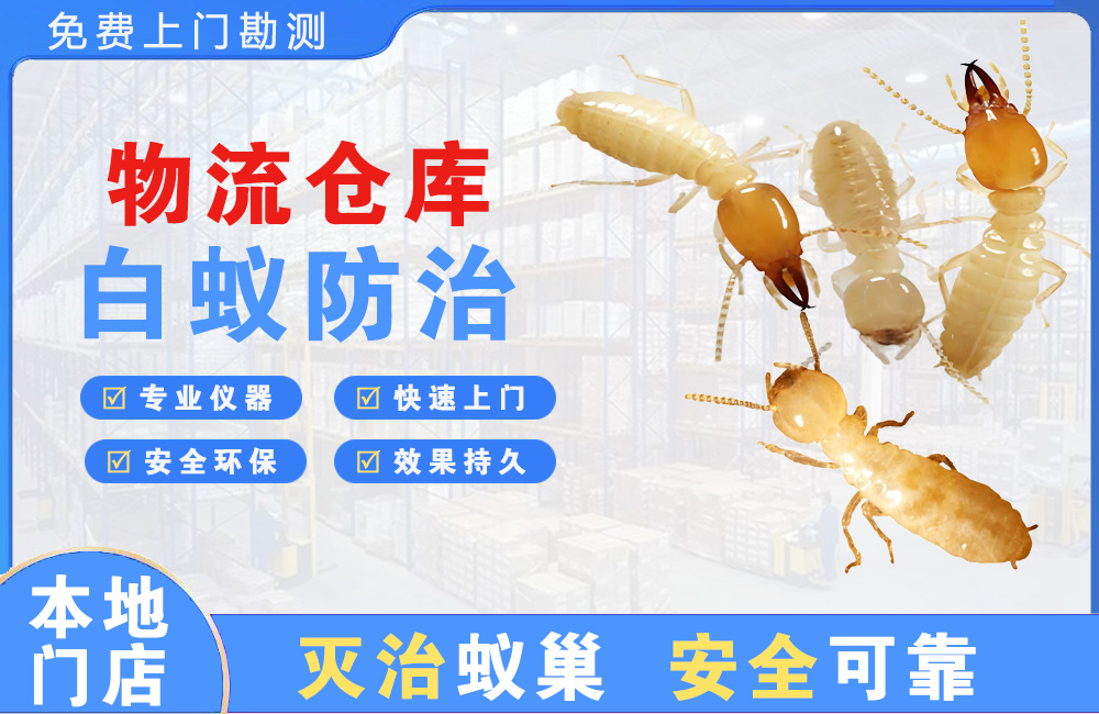 泗洪物流仓库白蚁防治