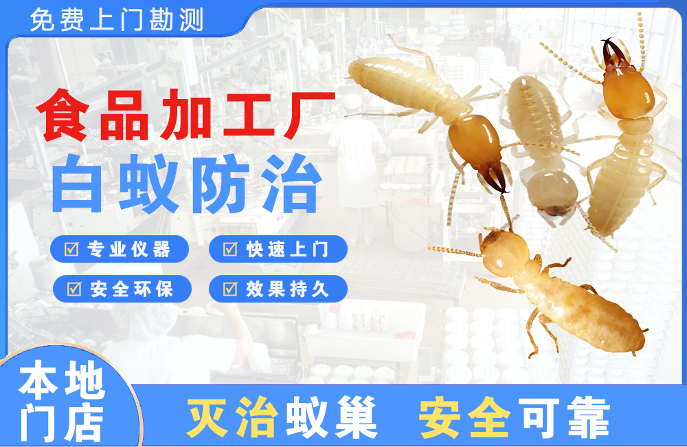 泗洪食品加工厂白蚁防治