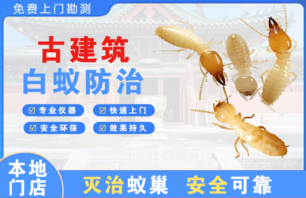 泗洪古建筑白蚁防治