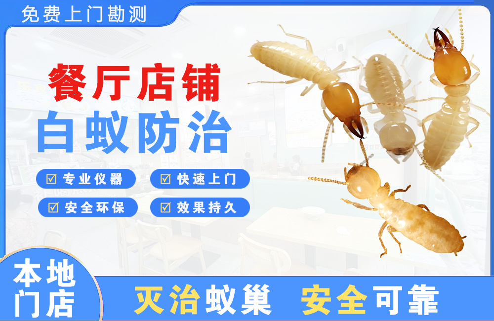 泗洪餐厅店铺白蚁防治